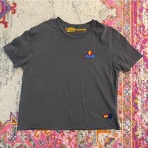 Aviator Nation Charcoal Boyfriend Tee